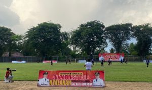 WhatsApp Image 2026-06-18 at 19.41.27