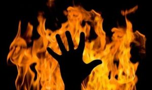 ilus bakar
