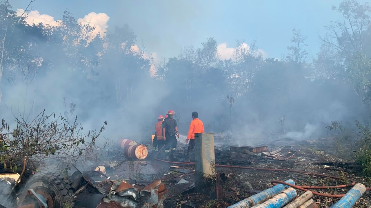 Dua Pekan Kebakaran Lahan Kotim Tak Kunjung Padam, BNPB Pantau Karhutla Kalimantan