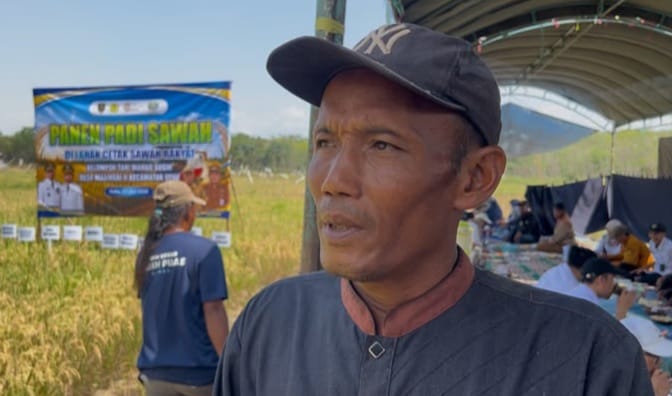 Lahan Tidur Disulap Jadi Sawah Produktif, Petani Tabalong Harap Program Cetak Sawah Rakyat Berlanjut