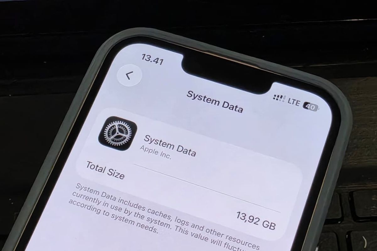 Ilustrasi tampilan System Data yang memakan storage iPhone