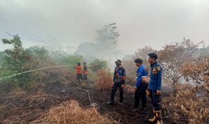 Kebakaran Lahan HST