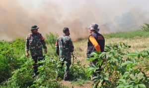 Kebakaran hutan dan lahan di Cindai Alus