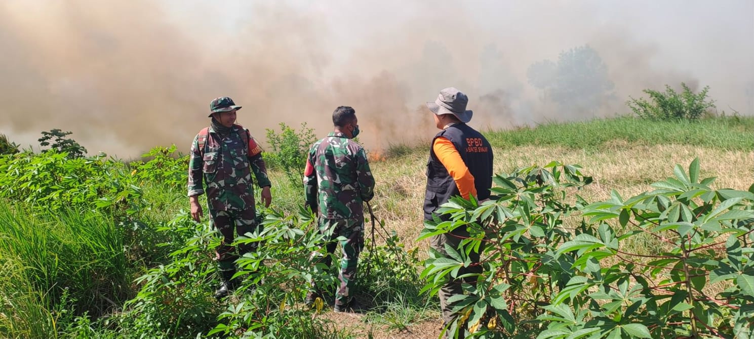 Kebakaran hutan dan lahan di Cindai Alus