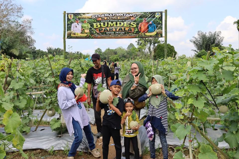 Petik Melon