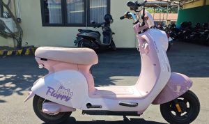 Sepeda Listrik Curian