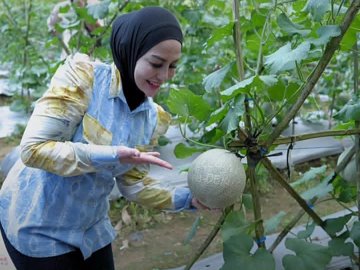 Dorong Kemandirian Ekonomi Desa, Ketua TP PKK HST Kunjungi Agrowisata Petik Melon Desa Jatuh HST