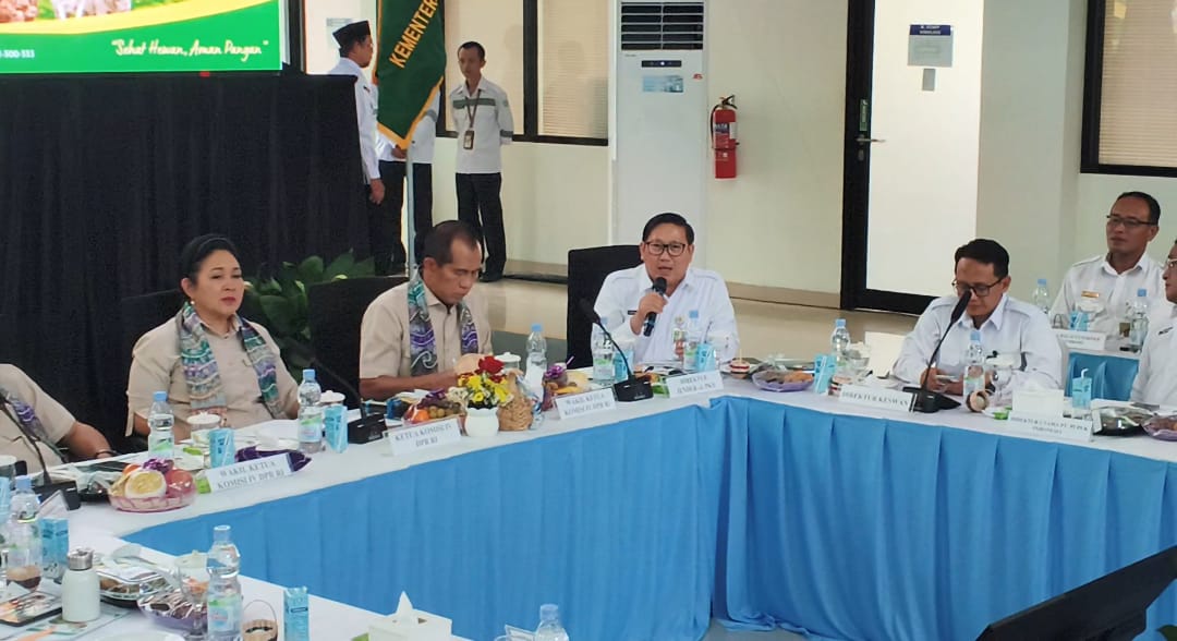 Kementerian Pertanian Siapkan Strategi Hadapi El Nino, Pakan Ternak hingga Biosecurity Jadi Fokus