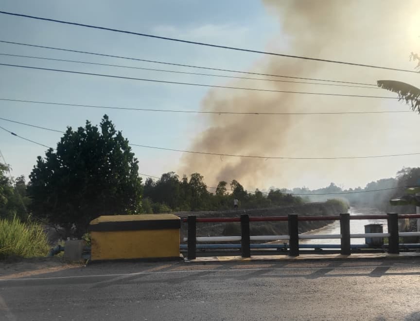 Dua Karhutla Terjadi di Pengayuan Banjarbaru dalam Sehari, Tim Gabungan Berjibaku Padamkan Api