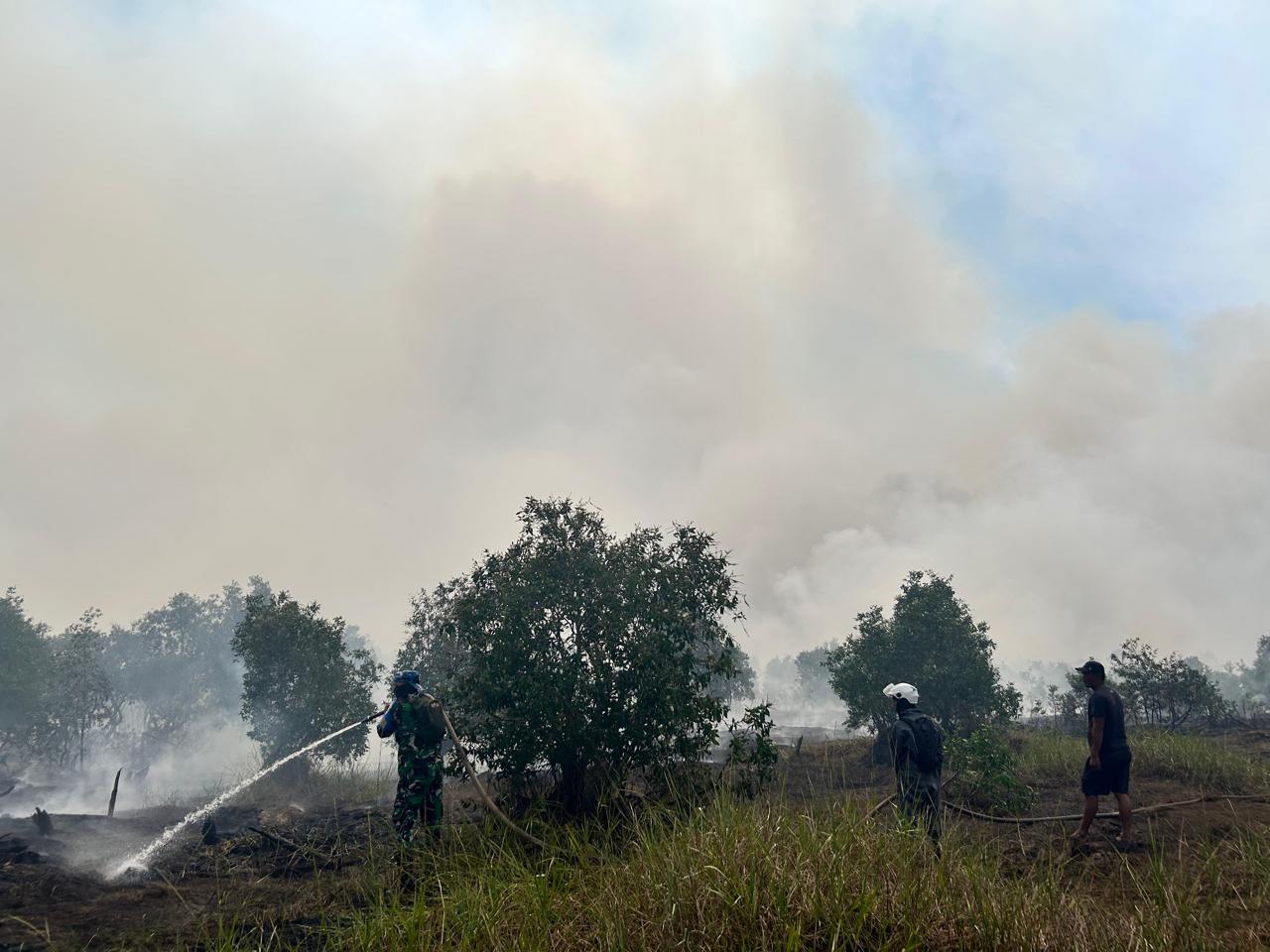 Kalsel Aktifkan Posko Karhutla di 13 Kabupaten/Kota, Kawasan Bandara Jadi Prioritas
