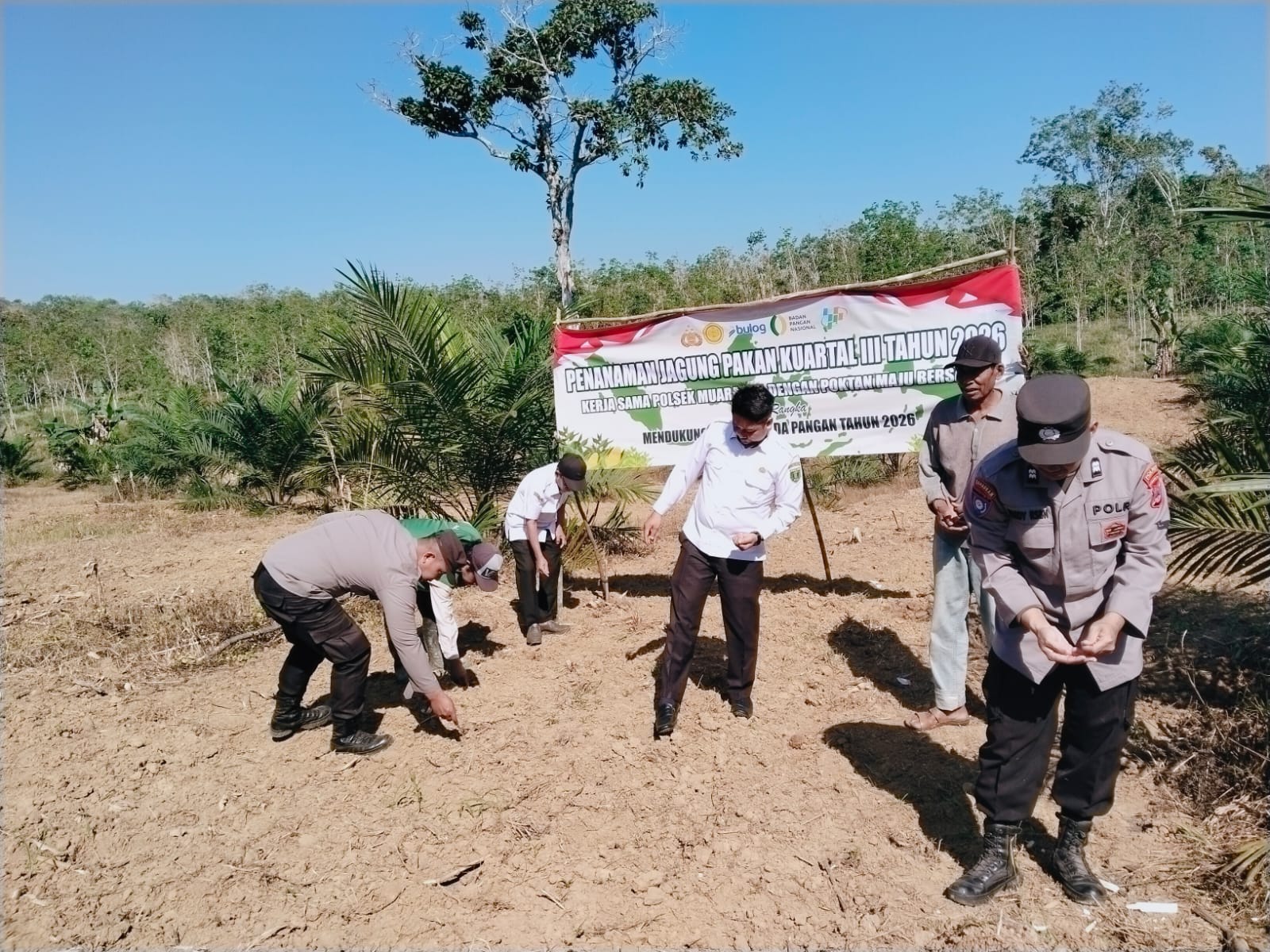 Polri dan Kelompok Tani Bersinergi Garap Lahan Jagung Dua Hektare di Muara Uya Tabalong
