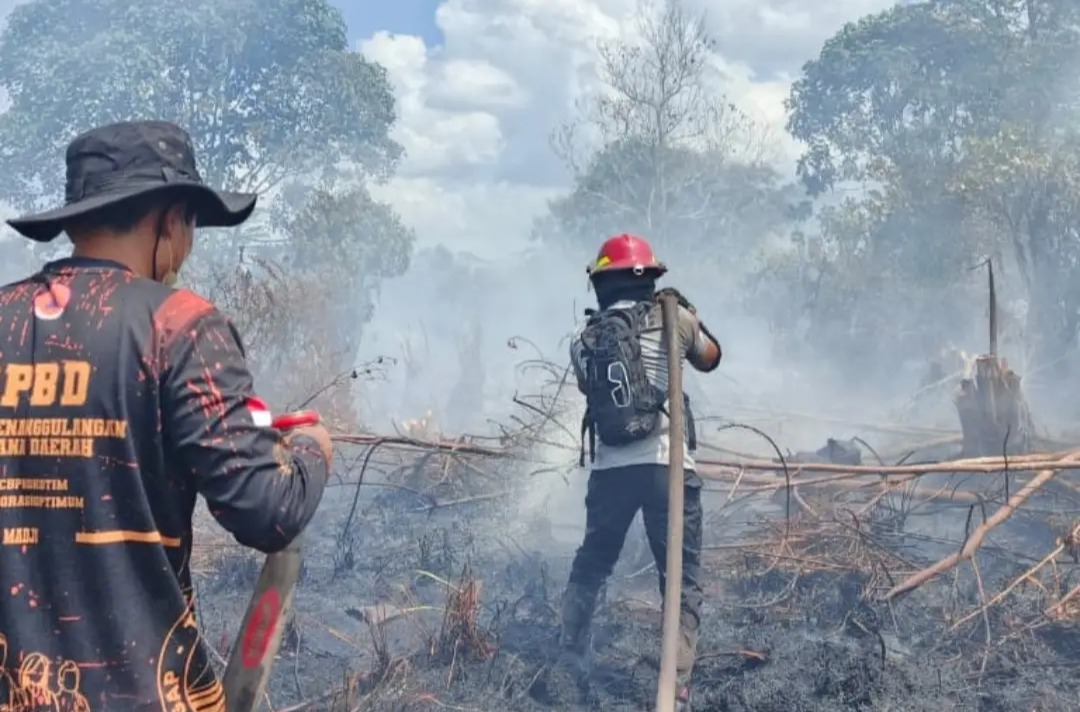 Dampak Karhutla, RSUD dr. Murjani Sampit Obati 450 Pasien ISPA, Dinkes Kotim Segera Bagikan 72 Ribu Masker