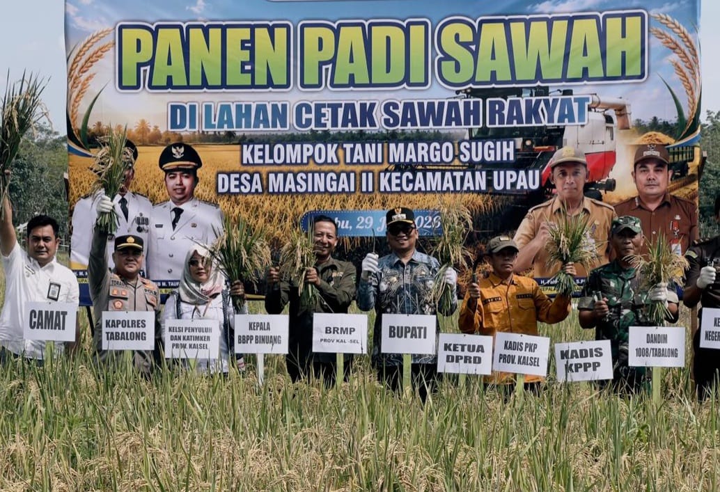 Lampaui Target, Panen Perdana Cetak Sawah Rakyat Tabalong Capai 5,2 Ton Per Hektare