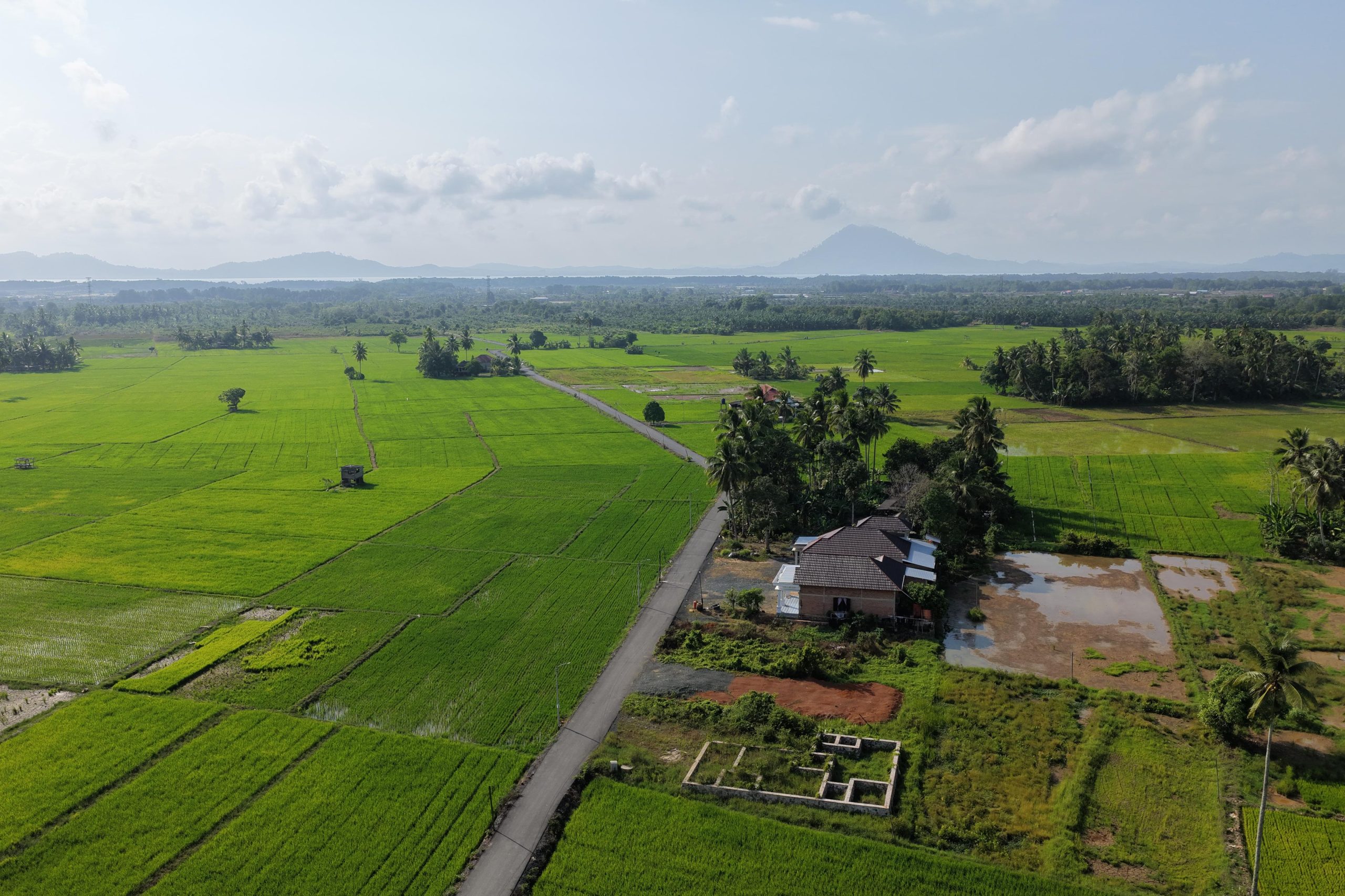 Tegaskan Komitmen Dorong Produktivitas Petani dan Petambak Tanah Bumbu, Bupati Andi Rudi Latif Aspal Jalan Desa Sepunggur