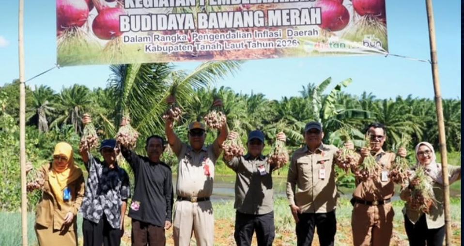 Genjot Produksi Bawang Merah, Pemkab Tanah Laut Perkuat Langkah Pengendalian Inflasi Daerah