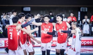 timnas voli